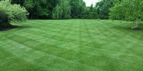 Lawn Care, Lawn Mowing, Grass Cutting, Lawn Maintenance, Lawn Care Business