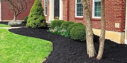 Landscaping, Landscaping Company, Landscaping Contractor, Landscaping Company
