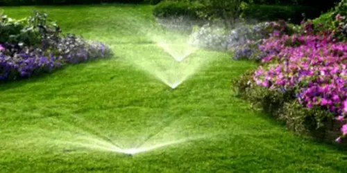 Lawn Irrigation System & Repair
