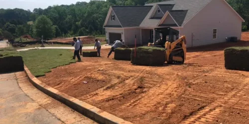 Turf & Sod Installation