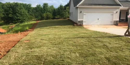 Turf & Sod Installation