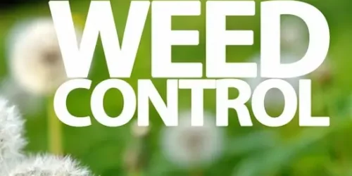 Lawn Care Program, Lawn Fertilization, Weed Control, Aeration